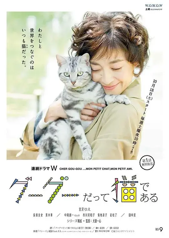 咕咕是一只猫 海报