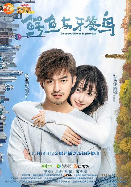《鳄鱼与牙签鸟》DVD版：青春梦想与建筑奇想的交织
