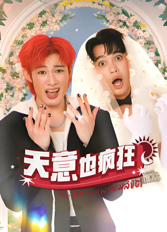 爆笑喜剧《天意也疯狂》：当倒霉蛋遇上好心人，笑到肚子疼！| 剧情解析、演员阵容